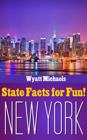 Cover of the book State Facts for Fun! New York by Wyatt Michaels