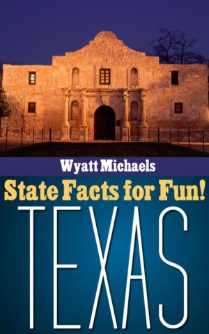 Cover of the book State Facts for Fun! Texas by Wyatt Michaels