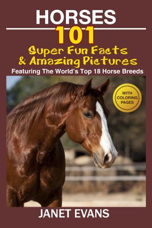 Cover of the book Horses: 101 Super Fun Facts and Amazing Pictures (Featuring The World's Top 18 Horse Breeds With Coloring Pages) by Baby Professor