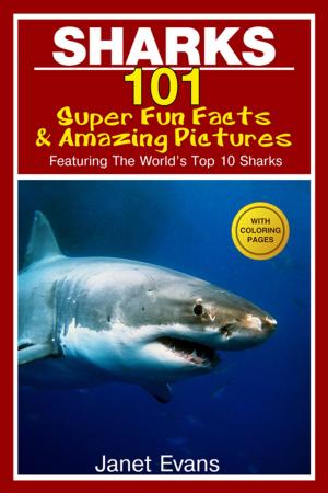 Cover of the book Sharks: 101 Super Fun Facts And Amazing Pictures (Featuring The World's Top 10 Sharks With Coloring Pages) by Baby Professor