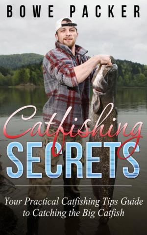 Book cover of Catfishing Secrets
