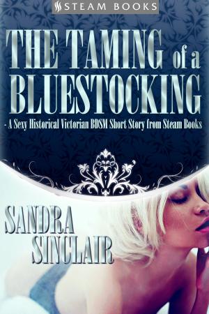 Cover of the book The Taming of a Bluestocking - A Sexy Historical Victorian BDSM Short Story from Steam Books by Logan Woods, Steam Books