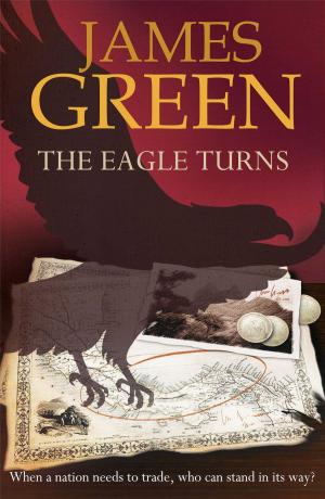Cover of the book The Eagle Turns by Gill Sanderson