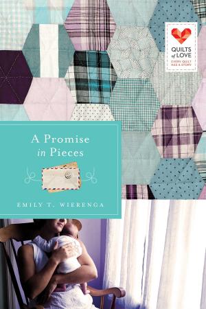 Cover of the book A Promise in Pieces by Debby Mayne