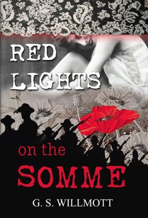 Cover of the book Red Lights on the Somme by Sapphire Stiletto