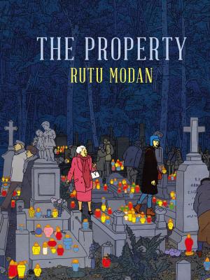 Cover of the book The Property by Anders Nilsen