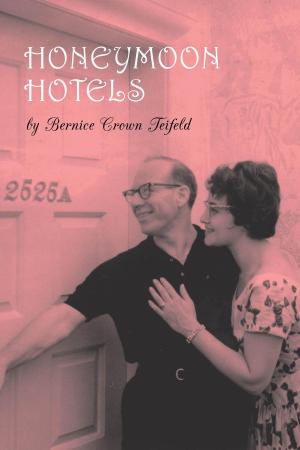 Cover of the book Honeymoon Hotels by Kathryn Friesen