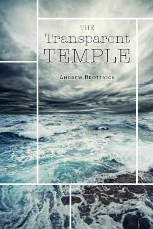 Cover of the book The Transparent Temple by 