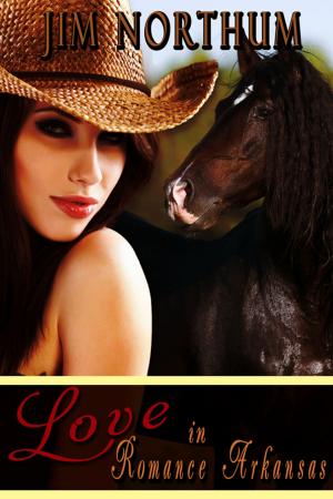 Cover of the book Love in Romance Arkansas by Danielle Stewart
