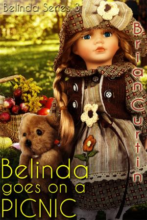 bigCover of the book Belinda goes on a Picnic by 