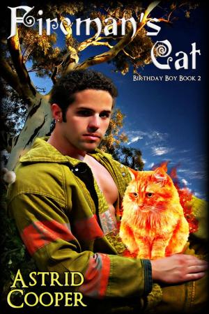 Cover of the book Fireman's Cat by Aria Chase
