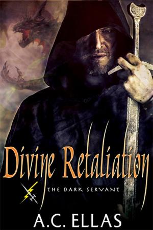 Cover of the book Divine Retaliation by Kat Barrett