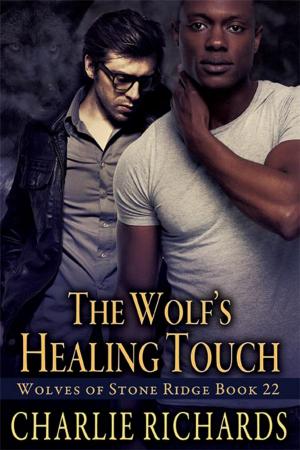 Cover of the book The Wolf's Healing Touch by Catherine Lievens