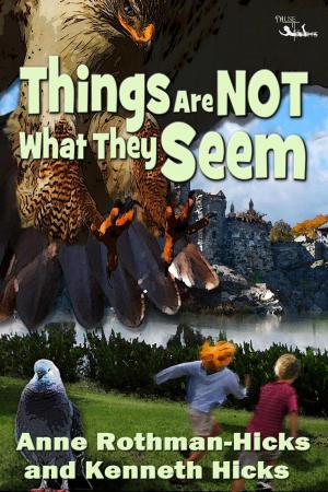 Cover of the book Things Are Not What They Seem by C.E. Chessher