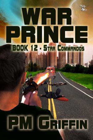 Cover of the book War Prince by Virginia Nelson