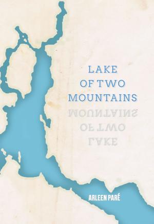 Cover of the book Lake of Two Mountains by John Reibetanz