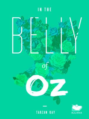 Cover of the book In the Belly of Oz by Patrick Bouchet