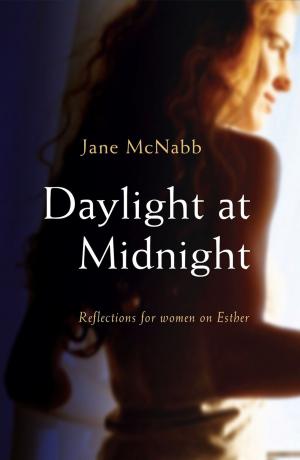 Cover of the book Daylight at Midnight by Neil S Bach