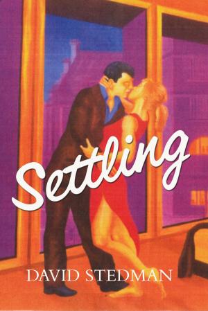 Book cover of Settling