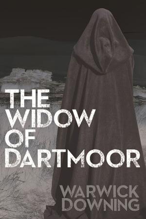 Cover of the book The Widow of Dartmoor by Andy Groom