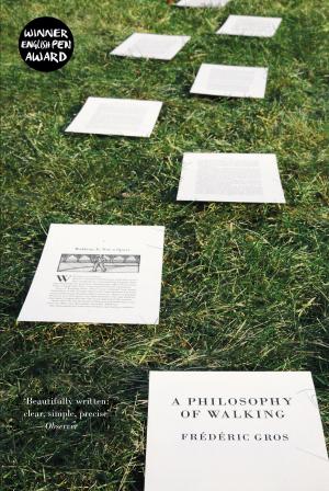 Cover of the book A Philosophy of Walking by Sabine Fels