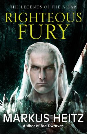 Cover of the book Righteous Fury by Rosie Archer