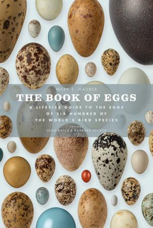 Cover of the book The Book of Eggs: A Guide to the Eggs of Six Hundred of the World's Bird Species by Adam A. Scaife, Julia Slingo DBE FRS