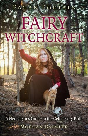 Cover of the book Pagan Portals - Fairy Witchcraft by David Renton