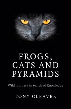 Cover of the book Frogs, Cats and Pyramids by Chris Nineham