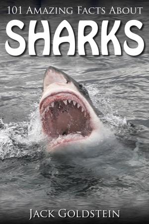 Cover of the book 101 Amazing Facts about Sharks by Jack Goldstein
