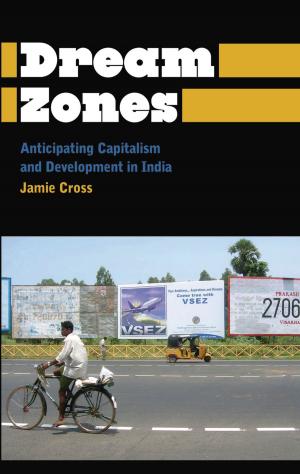 Cover of the book Dream Zones by Jonathan Cook