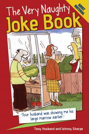 Cover of the book The Very Naughty Joke Book by Rupert Matthews