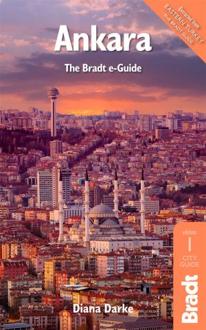 Cover of the book Ankara by Diana Darke, Murray Stewart