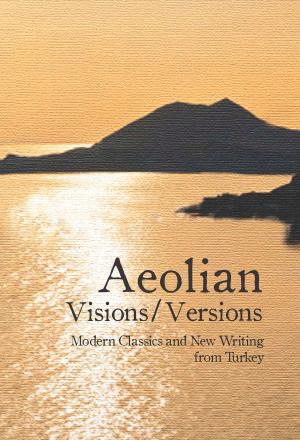 Cover of the book Aeolian Visions / Versions by Clare Nonhebel