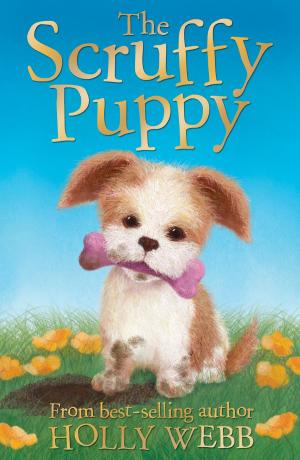 Book cover of The Scruffy Puppy
