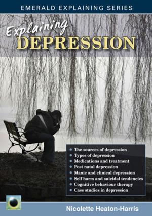 Cover of the book Explaining Depression by Jeanette Benisti