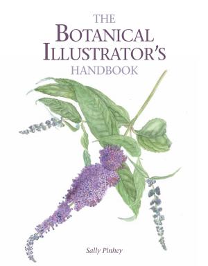 Cover of the book Botanical Illustrator's Handbook by Roger Brugge