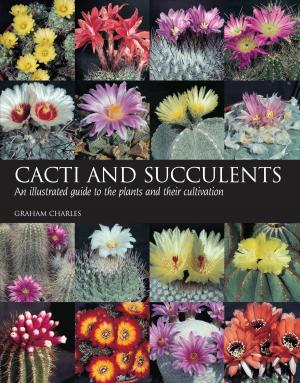 Cover of the book Cacti and Succulents by Allison Clarke, Lizzy Brown