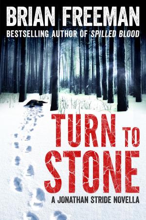 Cover of the book Turn to Stone by Chris Salewicz