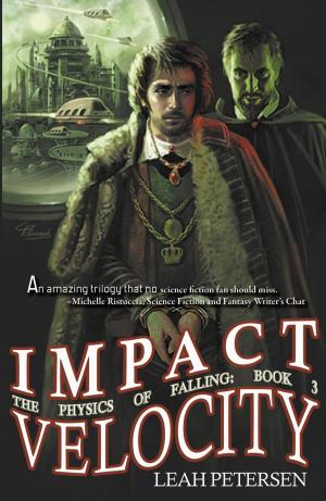 Cover of the book Impact Velocity by Jennifer Rahn