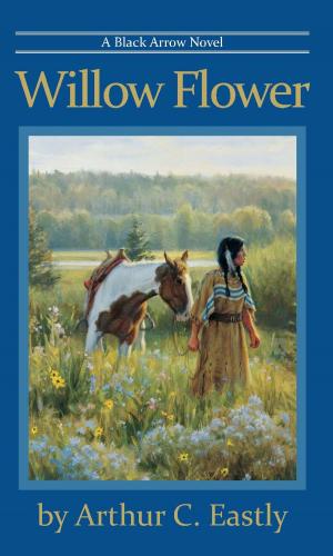 Cover of the book Willow Flower by A.J. Gillard