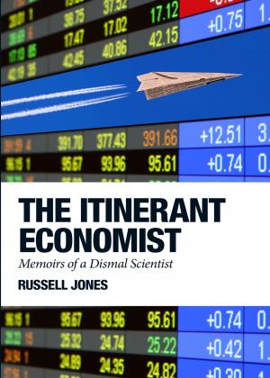Book cover of The Itinerant Economist