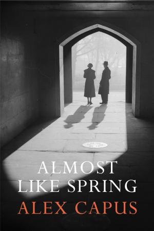 bigCover of the book Almost Like Spring by 