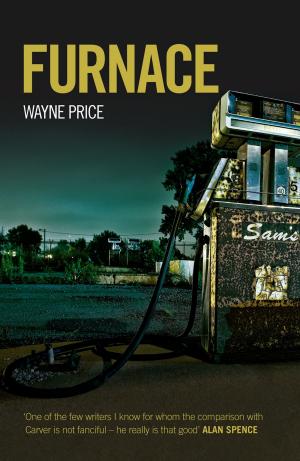 Cover of the book Furnace by Neil Mackay