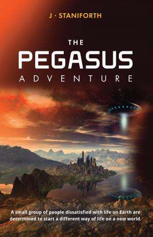 Cover of the book The Pegasus Adventure by Patrick Brigham