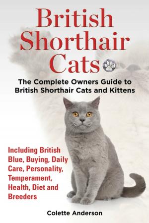 Cover of British Shorthair Cats, The Complete Owners Guide to British Shorthair Cats and Kittens Including British Blue, Buying, Daily Care, Personality, Temperament, Health, Diet and Breeders