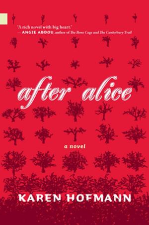Cover of the book After Alice by Garry Ryan