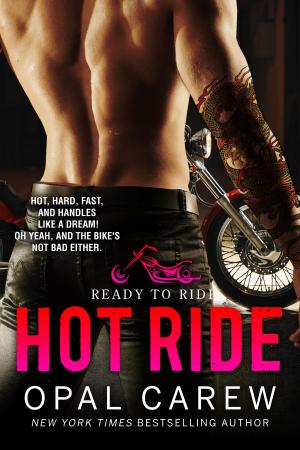 Book cover of Hot Ride