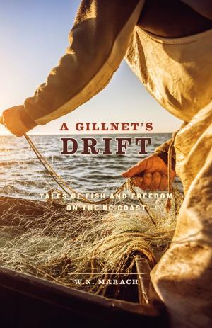 Cover of the book A Gillnet's Drift by Lori Weber