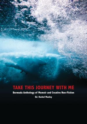 Cover of the book Take This Journey with Me by Dick Hoffman